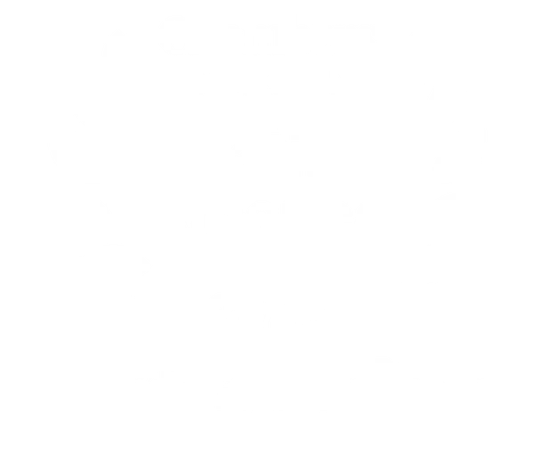 Chambers & Partners
